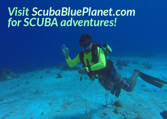 Visit ScubaBluePlanet.com for SCUBA adventures! Pablo the owner and dive instructor waving during a dive.